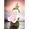 kevinsgiftshoppe Ceramic Hummingbird with Pink Rose Flower Figurine Home Decor   Kitchen Decor
